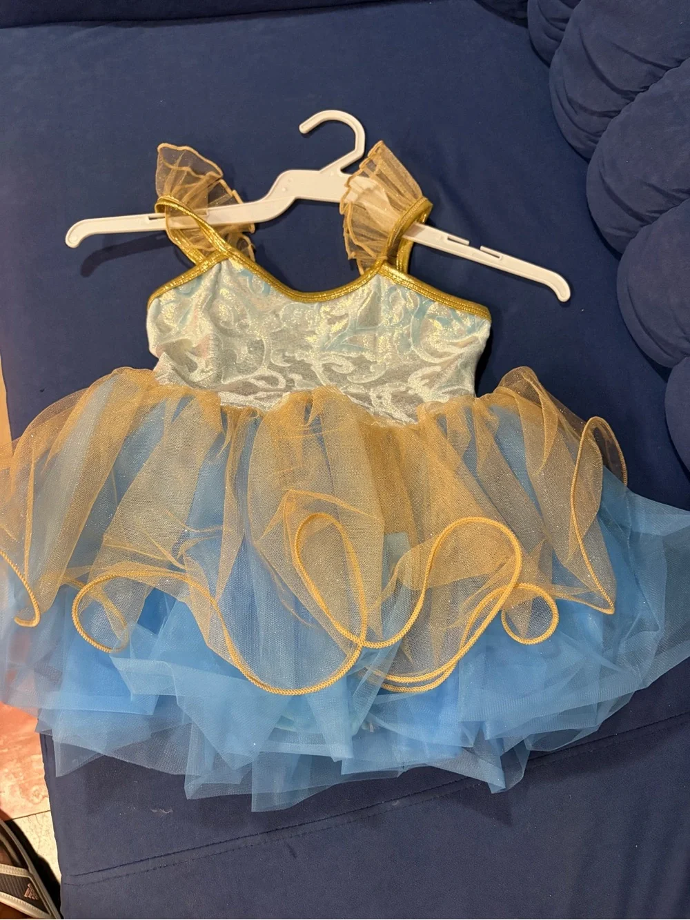 Blue & Gold Tulle Ballet Costume Dress for Kids